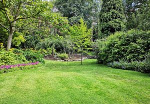 Optimiser l'expérience du jardin à Saint-Pe-Delbosc