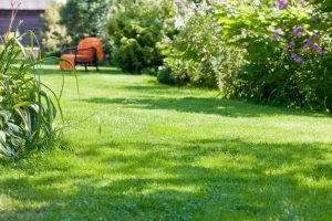 travaux jardin et paysage Saint-Pe-Delbosc